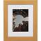 Craig Frames 4 Pack: Bauhaus 125 Distressed Gold Picture Frame with Mat
